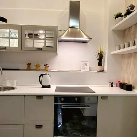 Center Loft 公寓 罗马